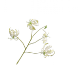 Silk-ka Gloriosa Zweig, 89 cm