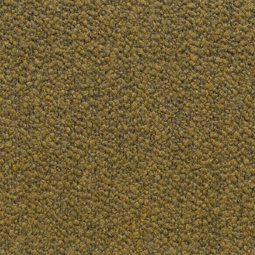 SOVET Xenial Stuhl, Esche braun